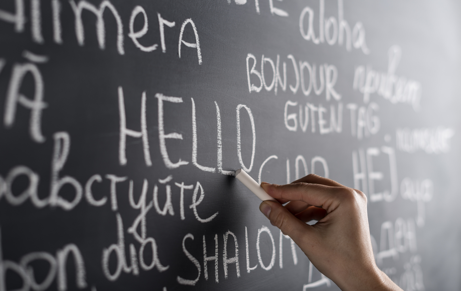 Adsız (3000 x 1500 piksel) (2300 x 1400 piksel) (11)